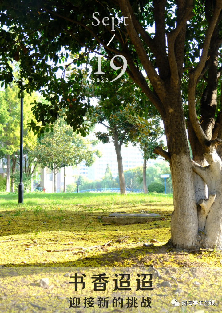 蓝白色积雪大雪节气简约中文海报 (4).png 图片
