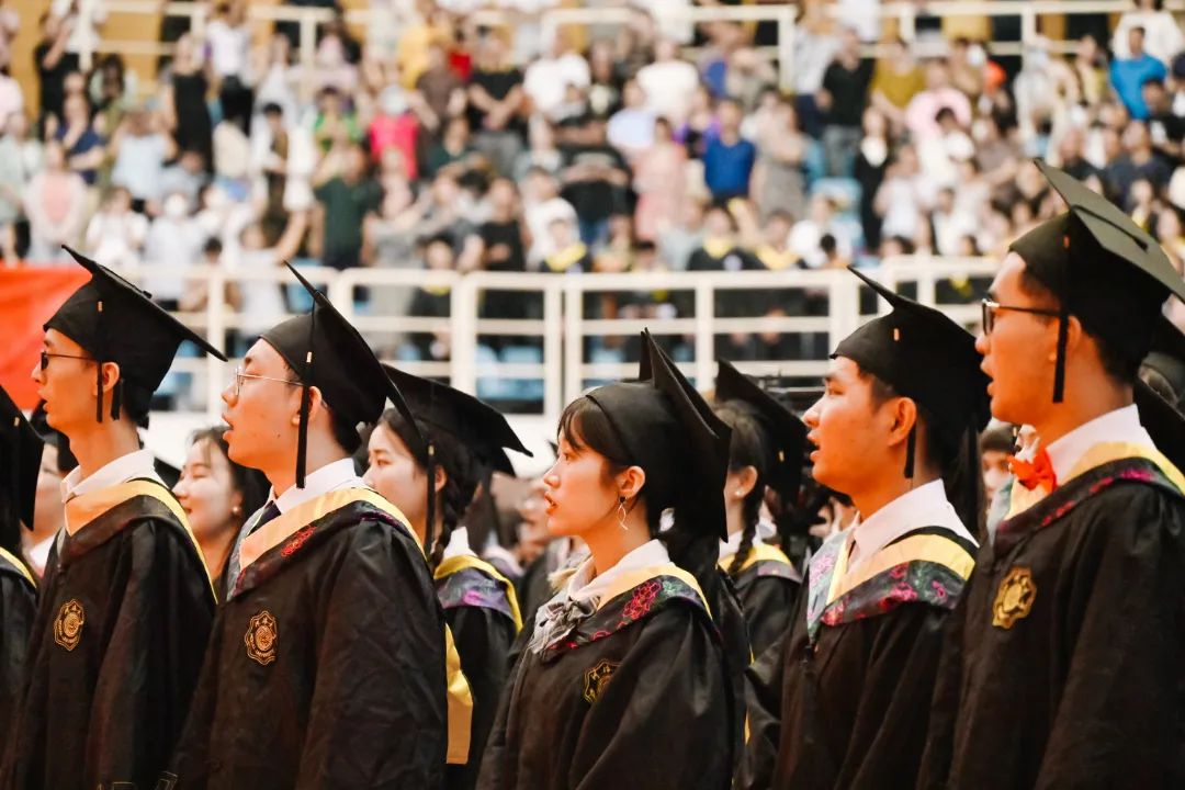 未命名-41.jpg 图片